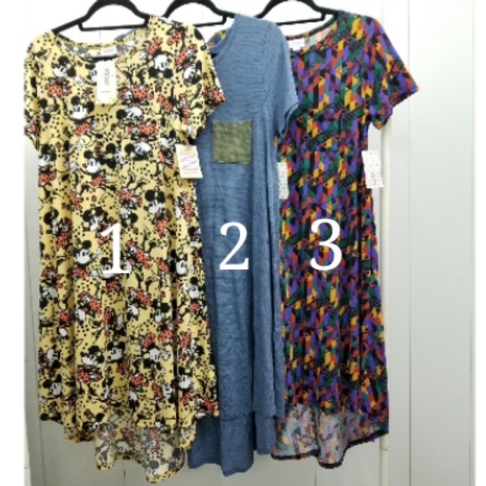 BNWT Carly dress